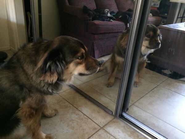 LexieBlogic's tweet image. Simple. Knock on doors, organize, engage with community. #lexie14