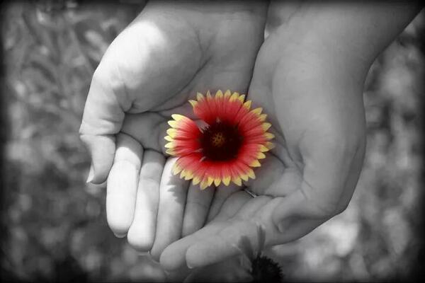 gsutton224's tweet photo. Took this a few years ago @Tobs_Lindsey Being a wildflower changed my life for the better http://t.co/feCohs0hWj