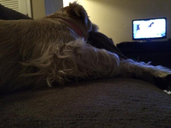 Stephanie Gruber tweet media