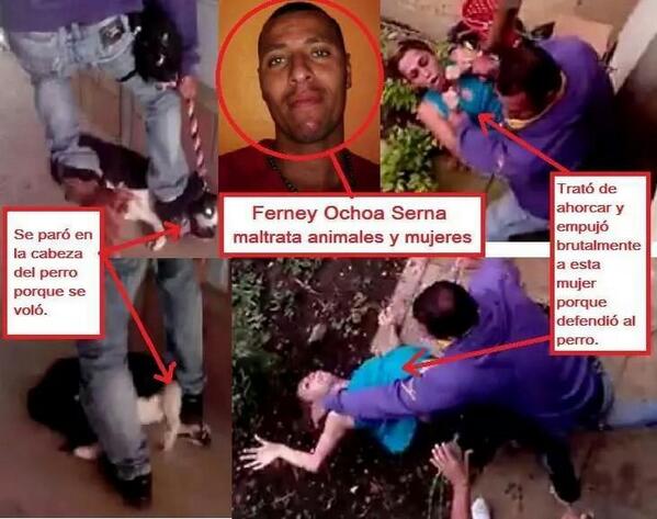 ModestColombia's tweet image. Animalistas apoyen  #CarcelParaFernryOchoaSerna