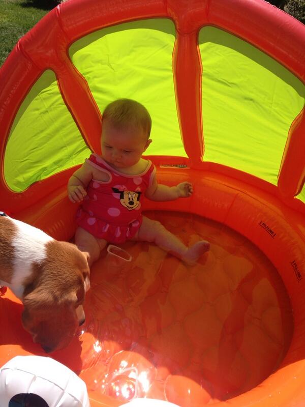 My new water bowl ... My hooman sis isn't impressed!