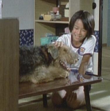 坂上忍の貴重な子役主演作品、『ふしぎ犬トントン』が初ソフト化で