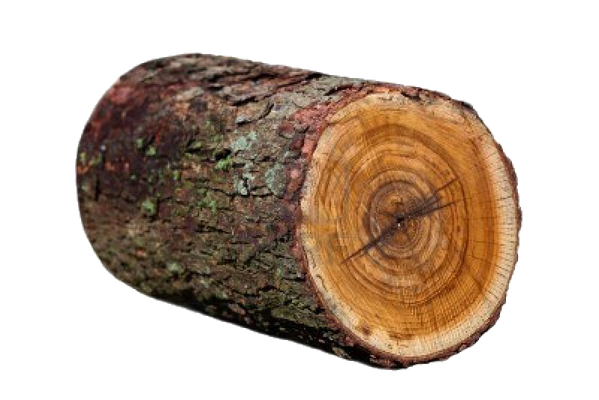 BrhN_JPCcAApAdW.png