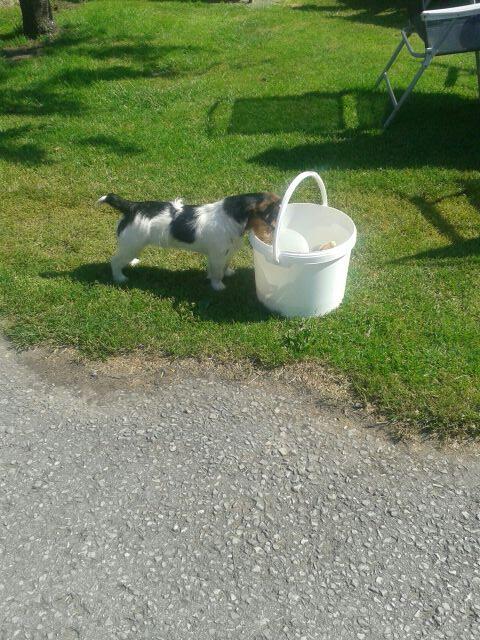 WaughBrowFarm tweet picture