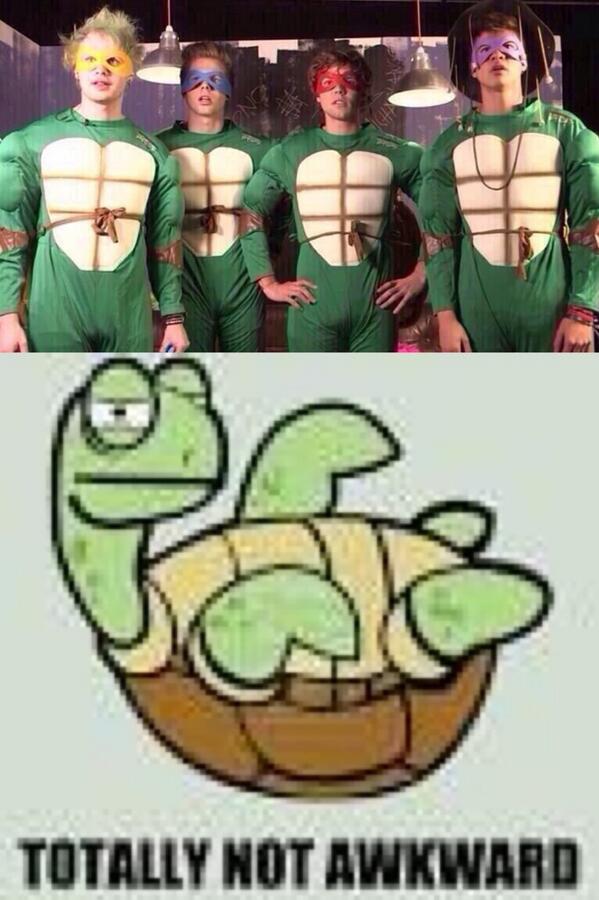 fairchen's tweet photo. Remembering #5sosawkwardturtle I guess that was 5sos way of telling us they going to be turtles http://t.co/Wt2W3g3kUd