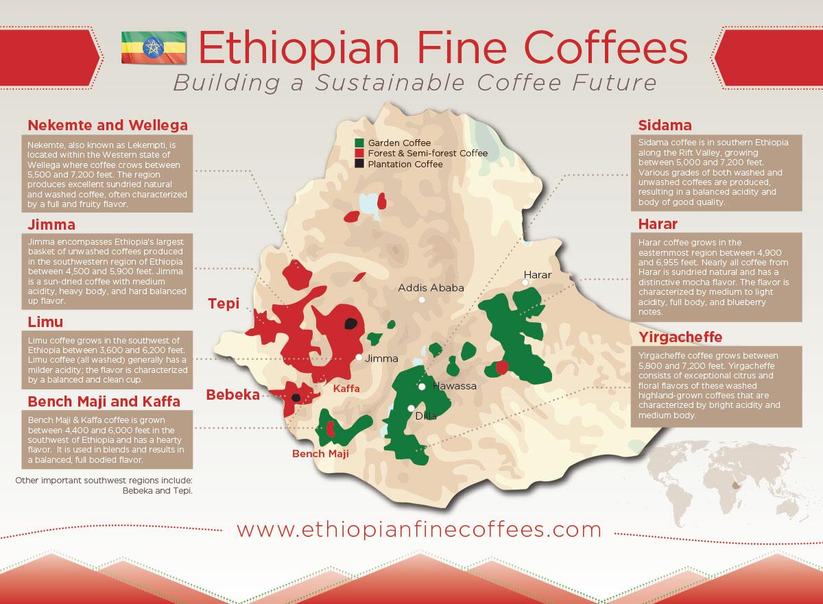 Ethiopian Mission EU on Twitter "Map of Ethiopia's finest coffee