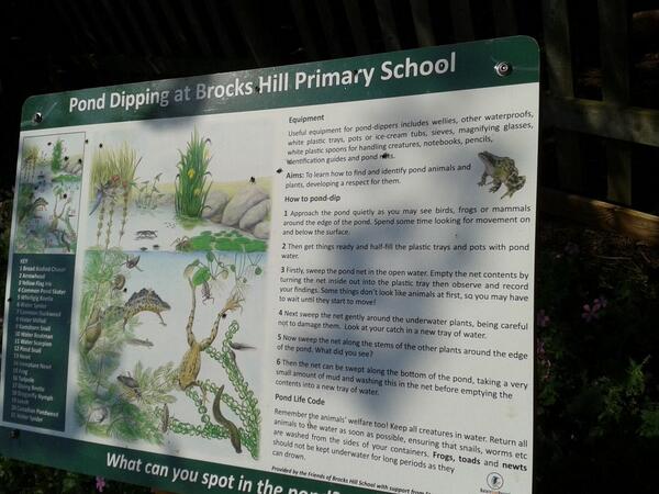 @ Brook Hill School .Tesco donated for  the opening of the outdoor pond and play area a proud moment.<a href="/_SUPER16/">Super16</a>