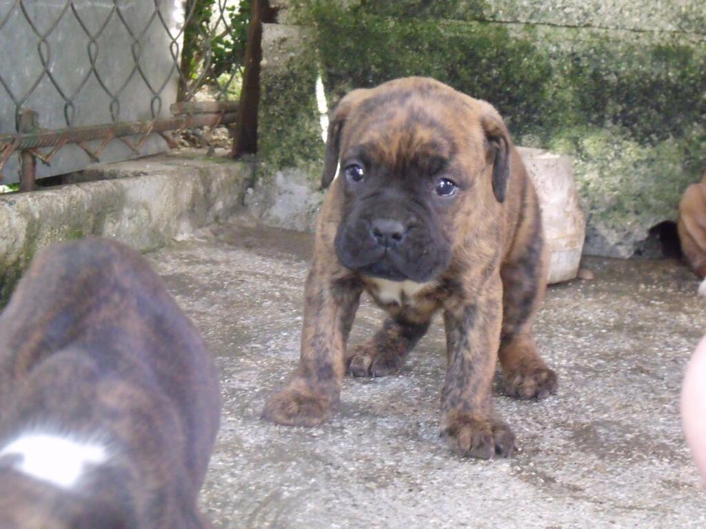 Permalien de l'image int&eacute;gr&eacute;e