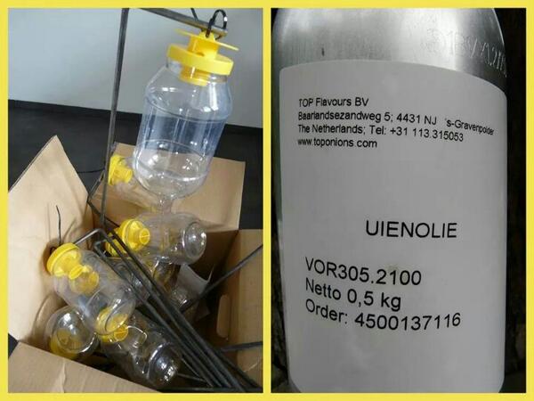 UsAnkerplak's tweet photo. Proef met uienolie tegen wortelvlieg bij een buurman. Mooie ontwikkelingen. http://t.co/Jqa20rIrZp http://t.co/YDmDEC8UDu