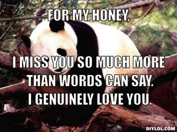 Missing you like this panda <a href="/angielicanr/">Angelica Robin</a>