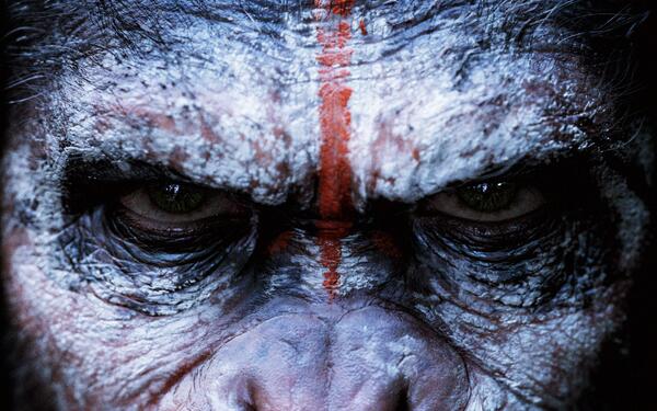 tweetperth's tweet photo. #perth win advance double pass to #DawnofApes. To enter RT &amp; follow @tweetperth - http://t.co/D81GDJUgVq #perthwin http://t.co/cjmhEj8iOz