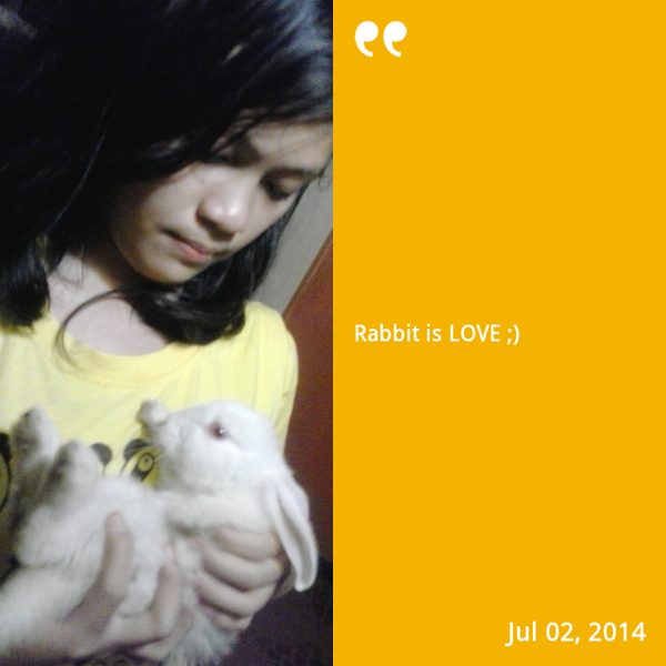 SittieHasmin's tweet photo. #InstaMagAndroid #Rabbit #Newbuddybuddy http://t.co/BKEXjQ0O1Z