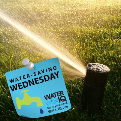 twdb's tweet image. It’s water-saving Wednesday! Minimize evaporation by watering during the early morning hours. #txwater