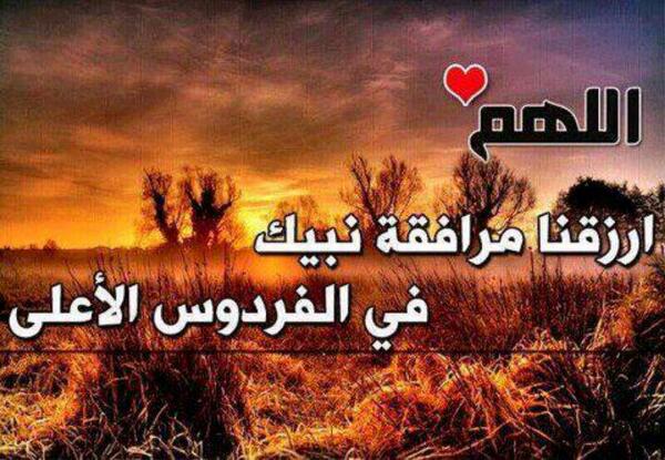 mmmmmm_ms's tweet image. 