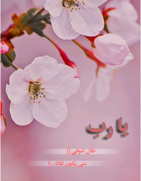 mmmmmm_ms's tweet image. 