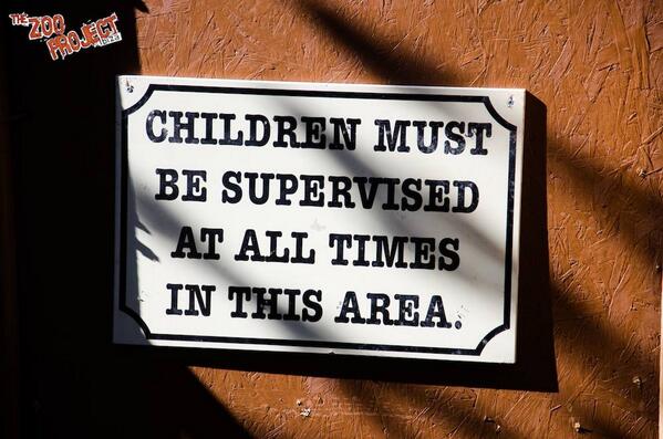 IbizaClubNews's tweet image. Channel Zoo #Opening party HAPPENING NOW at @thezooproject