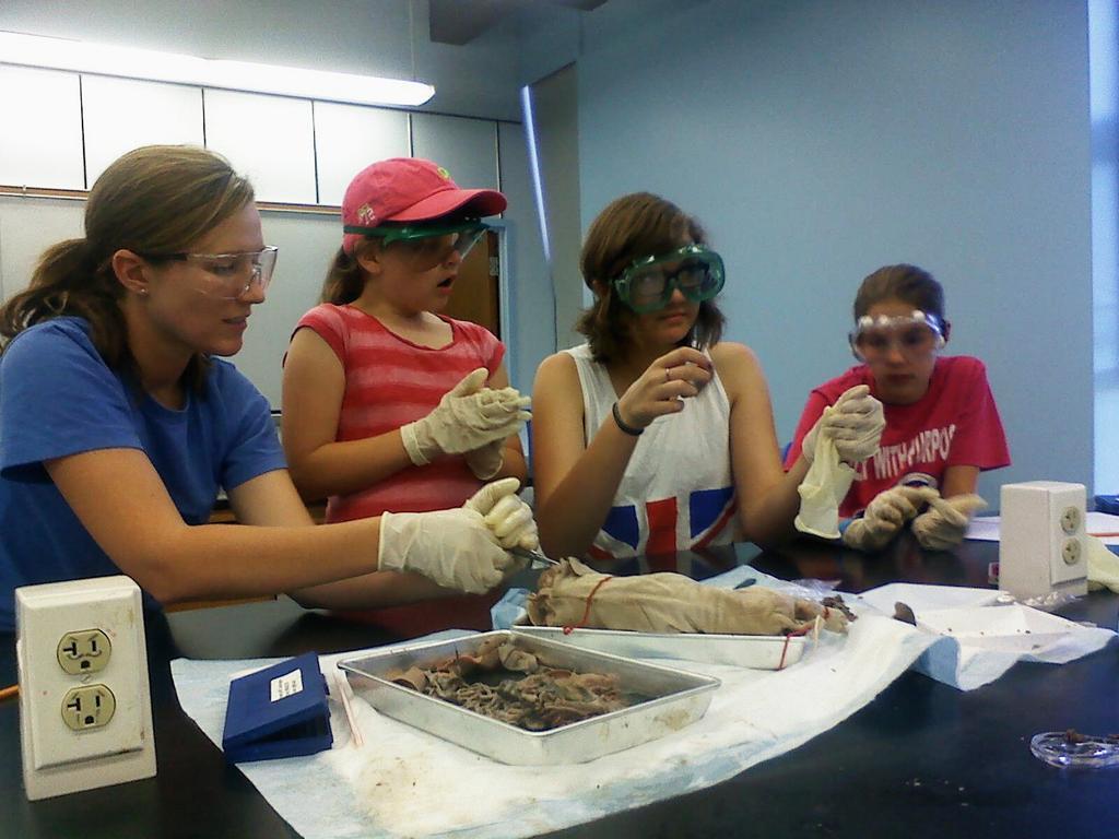 Permalink til innebygd bilde