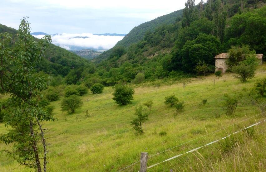 Permalien de l'image intégrée