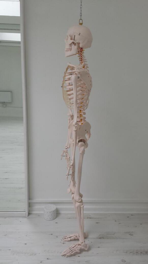 Bert is demonstrating perfect posture. Something that 500 cadets at West Point Academy couldn't!  Go Bert!