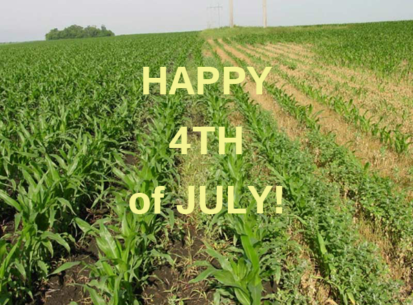 PeacePipeFL's tweet photo. #Smoke your #happiness on #4thofJuly! http://t.co/HdWtZ0sCru