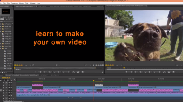 AdobeVideo's tweet photo. ORANGE IS THE NEW BARK | @austinhumane uses #PremierePro to promote dog adoptions: http://t.co/jGnrA33TWl | #OITNB http://t.co/ce4tSneQZH