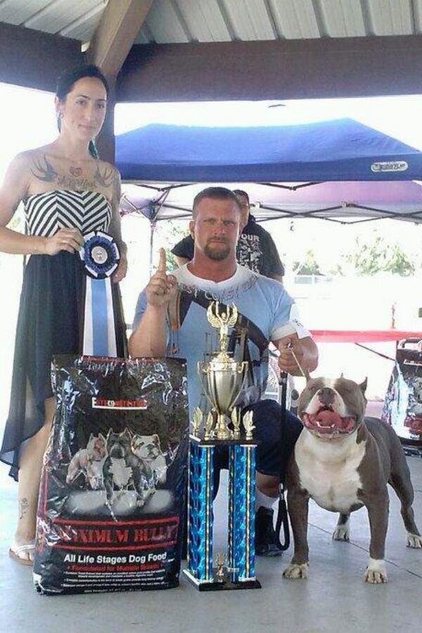 WCEJAMESLEWIS's tweet photo. Another best in show for Big Brute http://t.co/GpbW3En1OK
