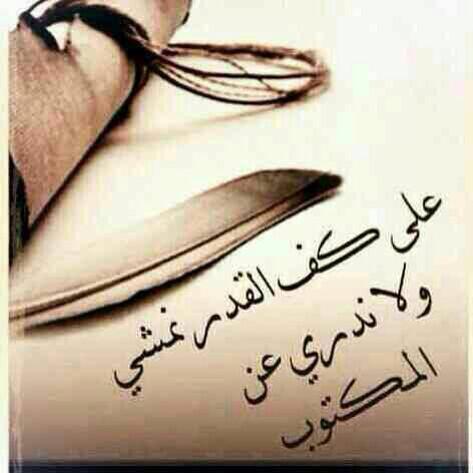 ولا ندري عن المكتوب Arabic Quotes Arabic Words Quotations