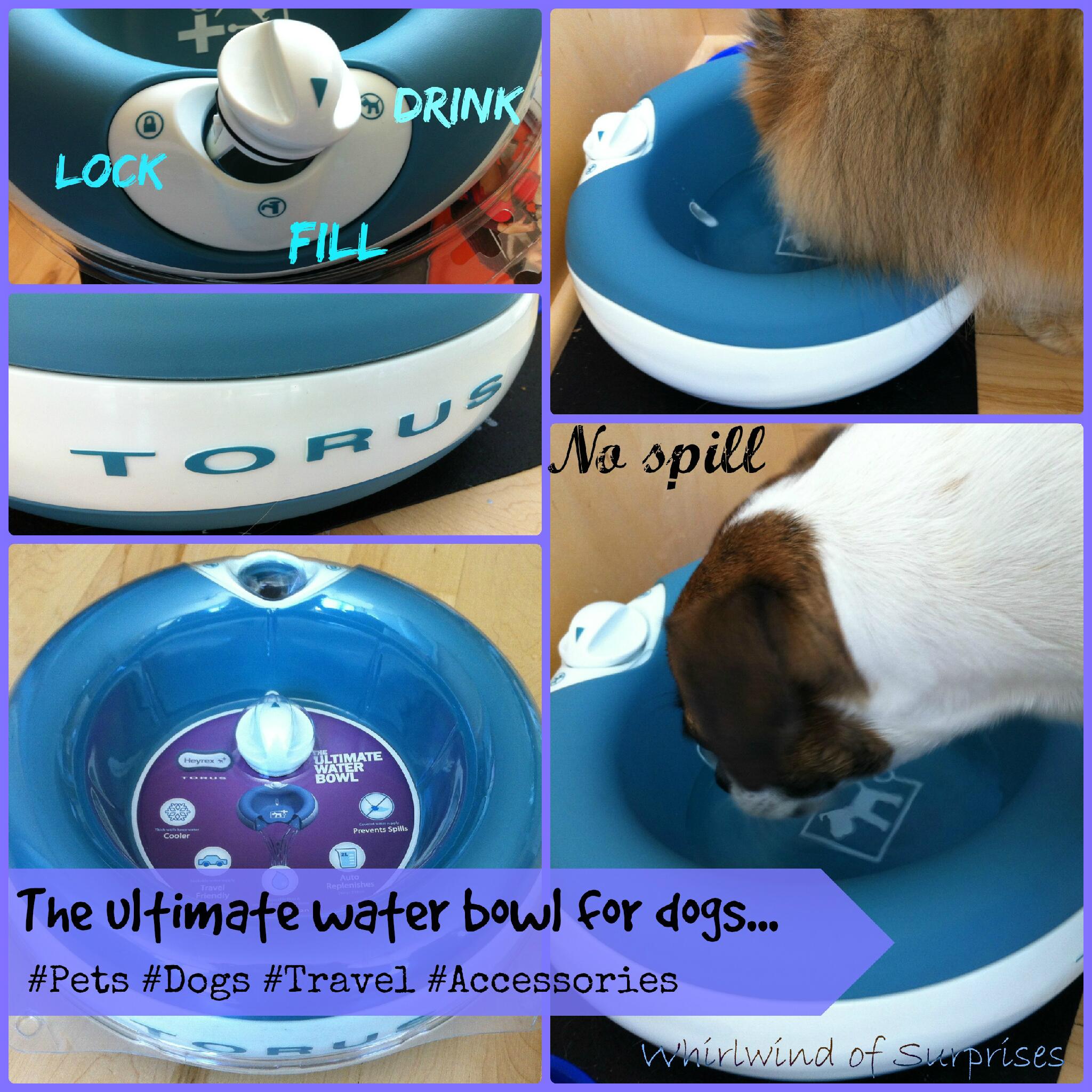 Ultimate water bowl for pets, dogs