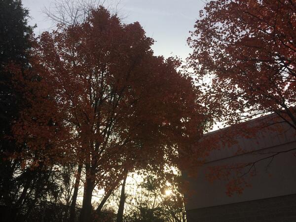 Will P. Rand tweet media