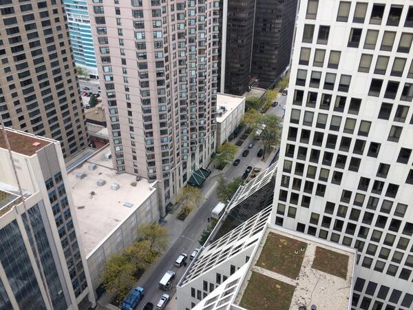 Will P. Rand tweet media