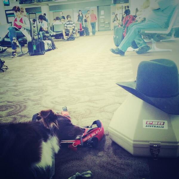 BrinsonJames's tweet image. Me and Reride catching some Zzz in between flights #flyinhigh #rodeoroad #chillinonthefloor
