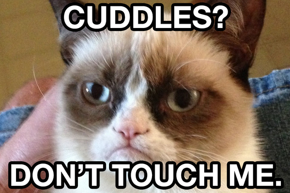 Grumpyy_caat's tweet photo. https://t.co/A35oTnphlU