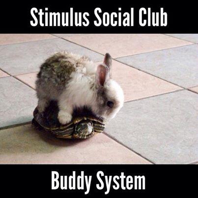 stimsoc's tweet photo. TODAY'S THE BIG DAY! See you all at @BenchmarkChi from 5:30-9! Everyone got their SSC Buddy? http://t.co/EHXgaXrVuE