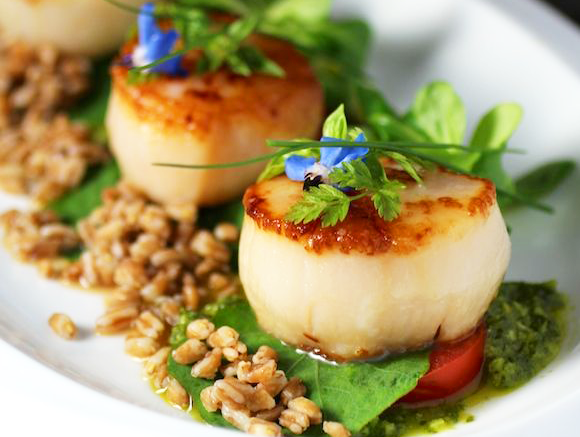 KyllosSeafood's tweet image. Scallop, Farro and Micro Greens with Lemon Basil Sauce. Delicious! tastewiththeeyes.com/2014/05/scallo…
#orgeon #seafood #coast