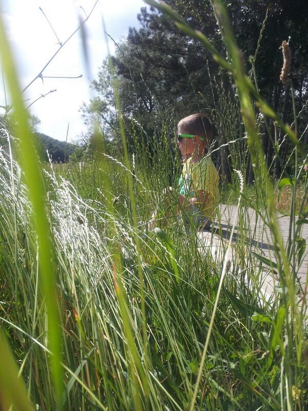 MJoksim's tweet image. 