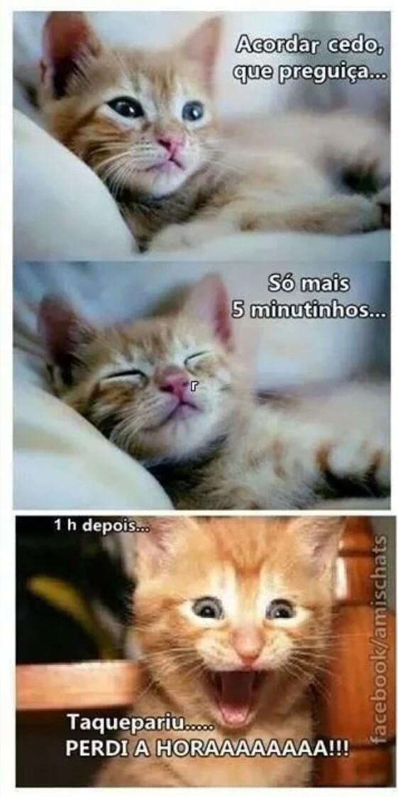 OlharCidade's tweet image. Bem assim mesmo! #internetshow