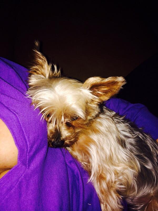 MILF Nikki Maxxx tweet media