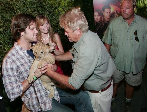 Mira🦃🍁 tweet media