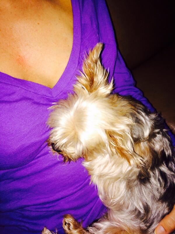 MILF Nikki Maxxx tweet media