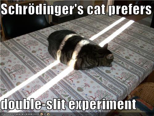 EddieAndCheeses's tweet image. #scomweb