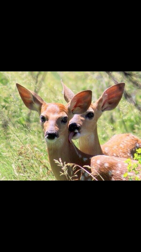 #oomf got me like 😏