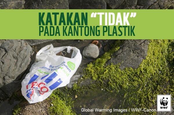 Selamat Hari Tanpa Kantong Plastik Sedunia. Mari kita mengganti kantong plastik dengan kantong kain pakai ulang!