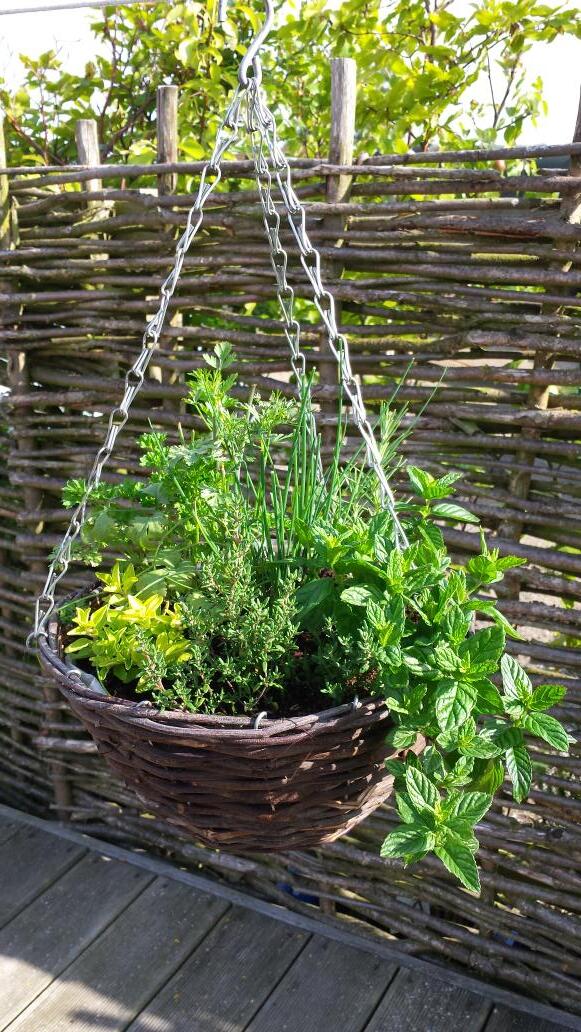 #international #news - one of our herb baskets has been delivered to a customer in #Belgium :)
