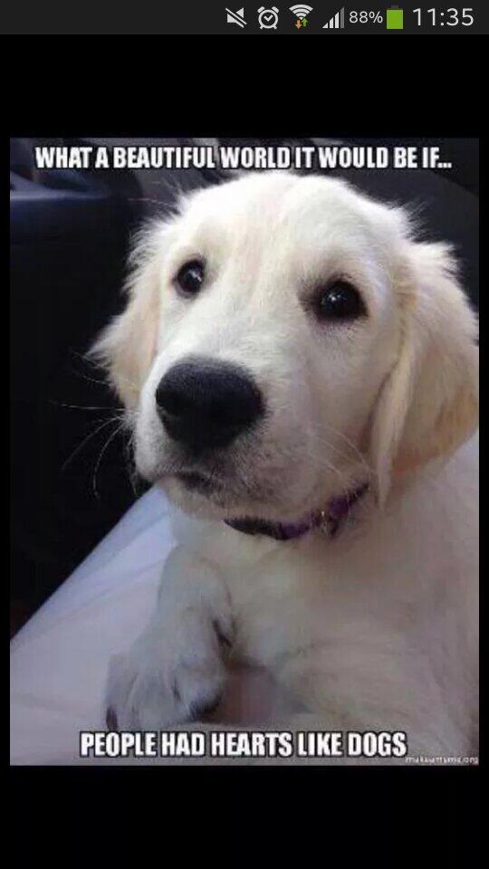 niceavida's tweet image. Jaja..