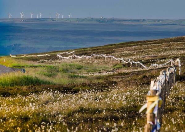 Heptonstallfellrace tweet media