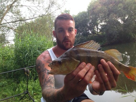 REYNOLDS9876's tweet photo. #fish #fishing #throop #perch http://t.co/eBTwkA2C0z
