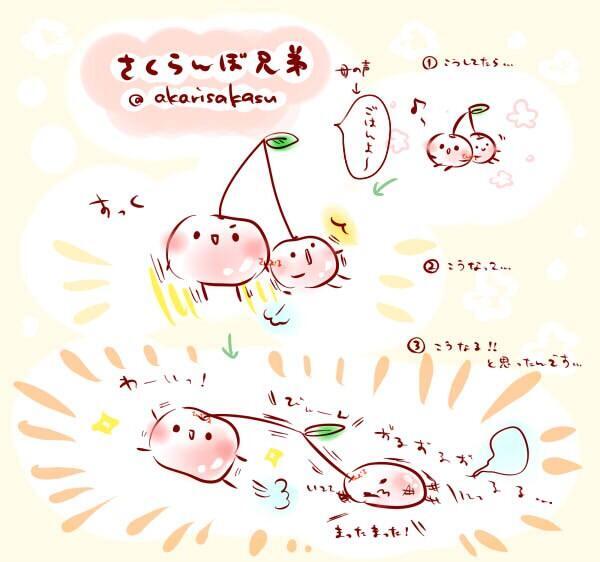 mashimarou1's tweet photo. さくらんぼ兄弟。 https://t.co/1FLJS5VTIH