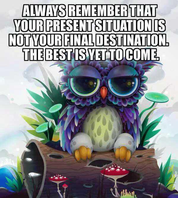 Nicole Wise (@wise_harleyspub) on Twitter photo 