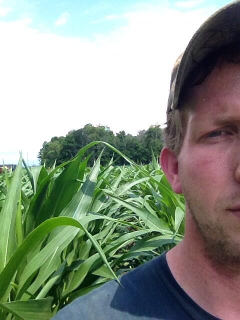 Think we got the knee high by the Fourth of July beat!