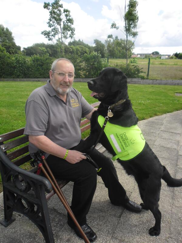 DogsForGoodUK's tweet photo. Best of luck to Les Pearson who is a baton bearer for @thecgf tonight - with assistance dog Homer by his side! http://t.co/8Gdoc3Z7V2
